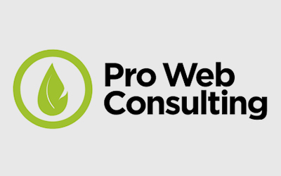 Pro Consulting Web